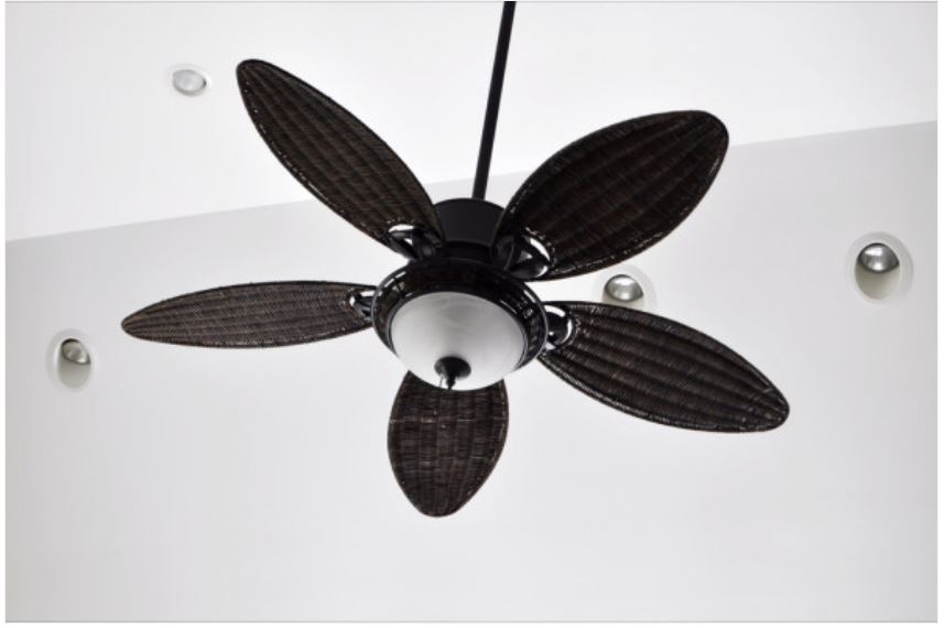 kitchen ceiling fans with light idea